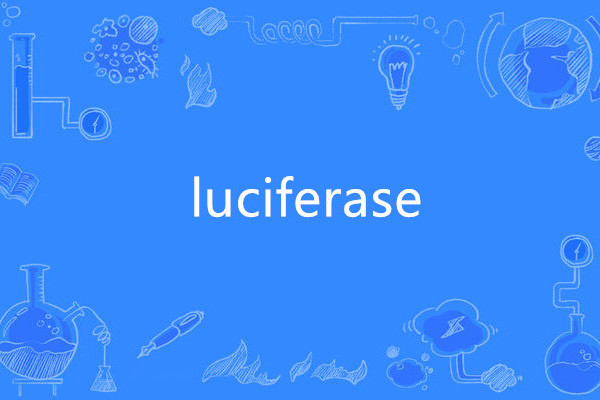 luciferase luciferase
