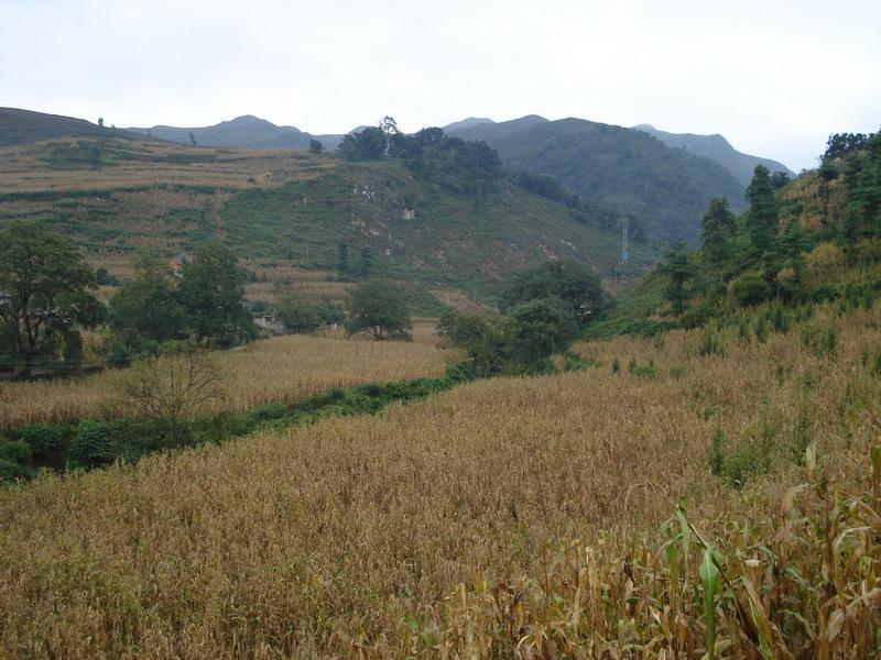 落坡洞村 落坡洞村