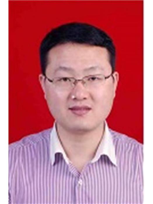 何峰(江西省宜春市高安市統計局黨組書記) 何峰(江西省宜春市高安市統計局黨組書記)