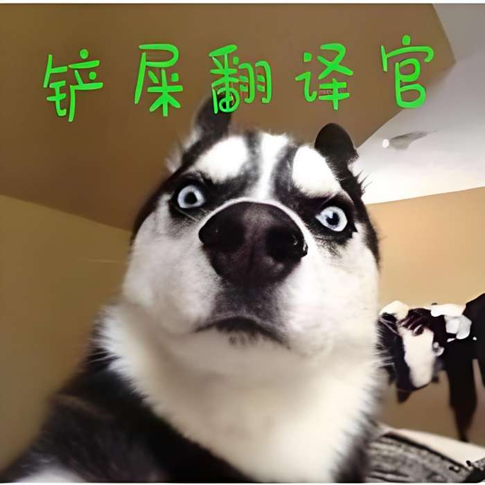 鏟屎翻譯官