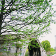 麟趾橋 麟趾橋