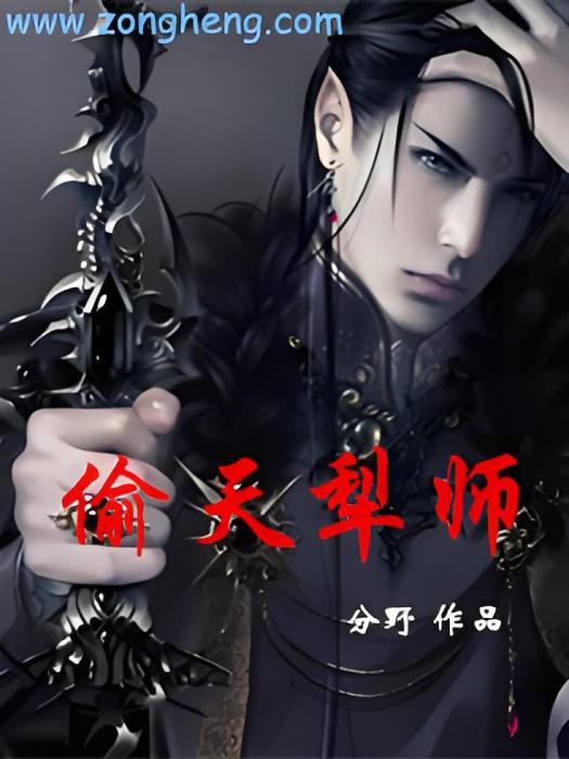偷天犁師
