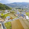 海涯村(上海市金山區漕涇鎮下轄村) 海涯村(上海市金山區漕涇鎮下轄村)