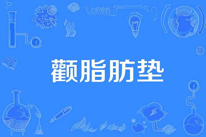 顴脂肪墊