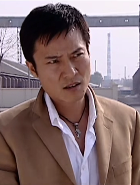 底牌(2005年黃志忠王慶祥主演的電視劇)