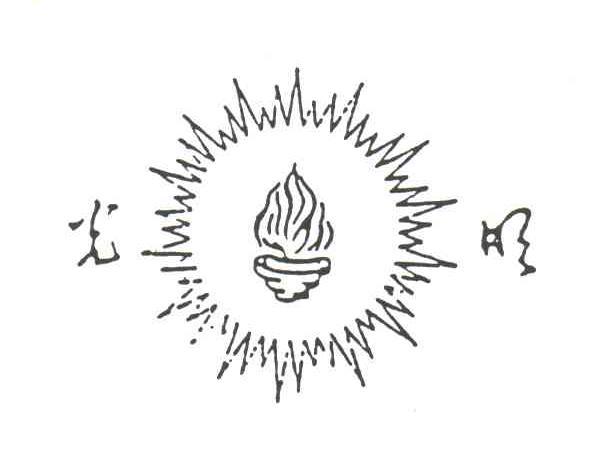 光明(品牌) 光明(品牌)