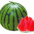 大民1號 大民1號