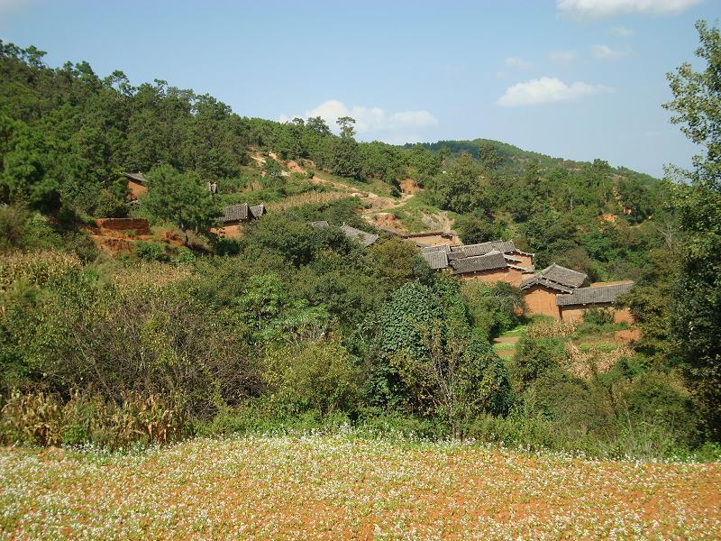 白銅廠村 白銅廠村