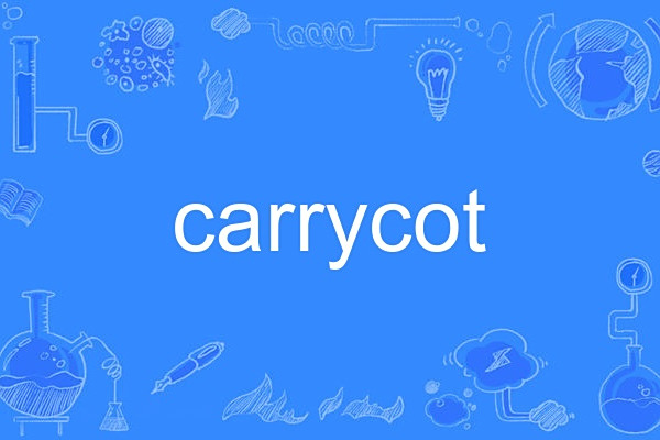 carrycot carrycot