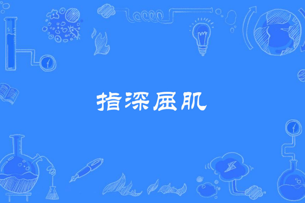 指深屈肌 指深屈肌