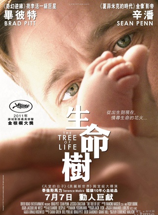布拉德·皮特(皮特（美國電影男演員）)