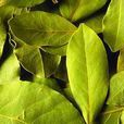 香葉(調味料) 香葉(調味料)