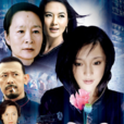 紅處方(1997年董志強執導內地電視劇) 紅處方(1997年董志強執導內地電視劇)