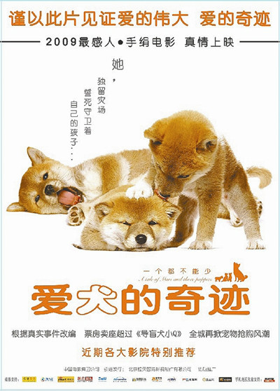 愛犬的奇蹟(2007年日本電影)