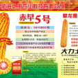 赤早5(蒙審玉2004016號) 赤早5(蒙審玉2004016號)