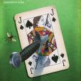 Black Butterfly(2009年Pocket Books出版的圖書) Black Butterfly(2009年Pocket Books出版的圖書)
