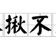 不揪不採