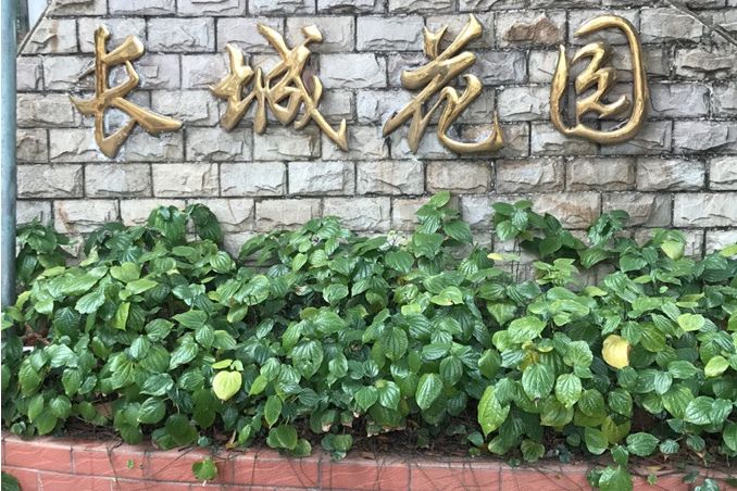 長城一花園 長城一花園