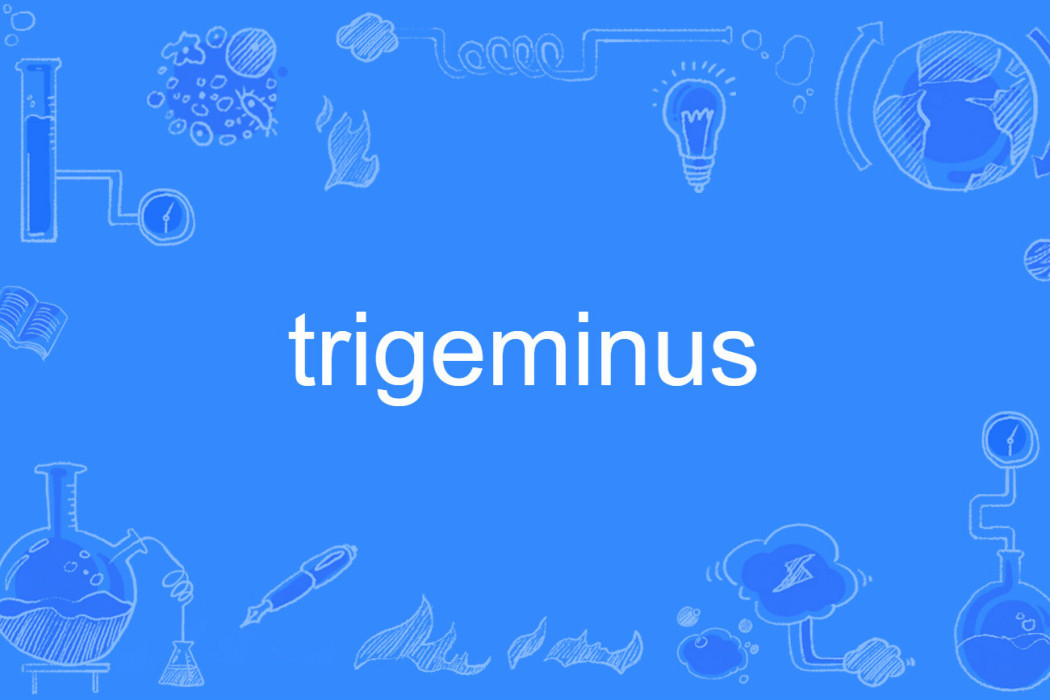 trigeminus trigeminus