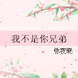 我不是你兄弟 我不是你兄弟