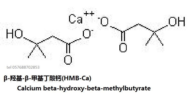 β-羥基-β-甲基丁酸鈣(HMB-Ca)