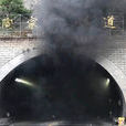 叢威滋 叢威滋