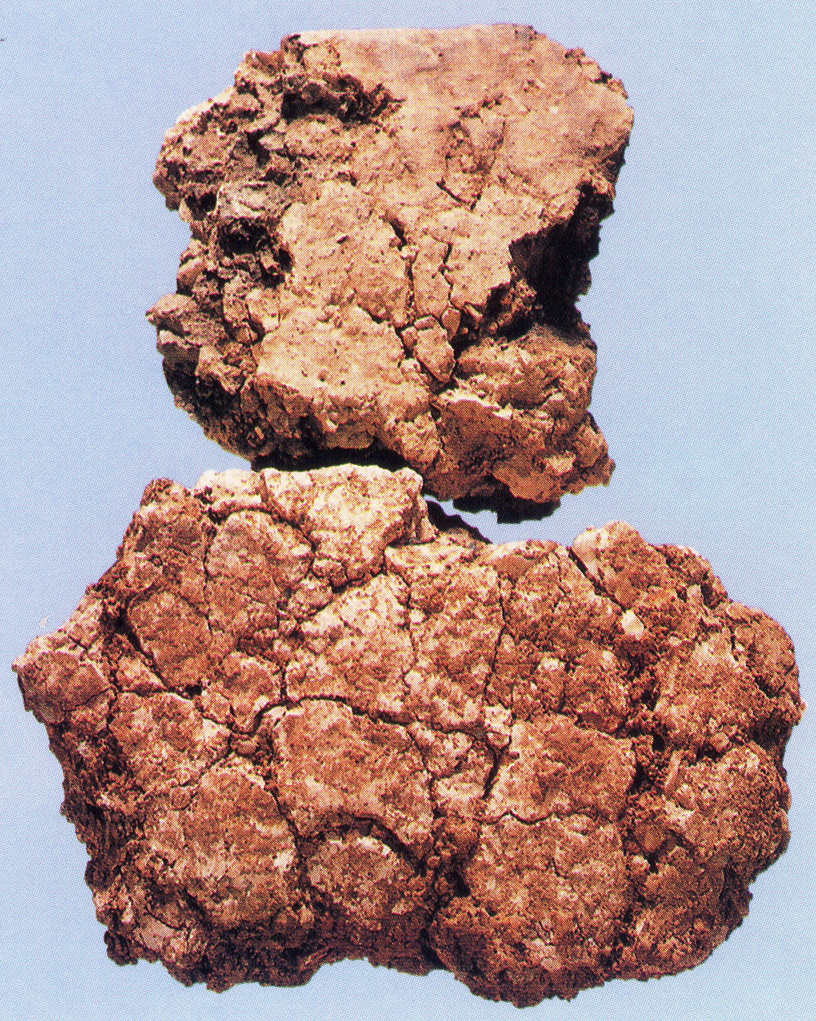 甑皮岩首期陶殘片（外壁）