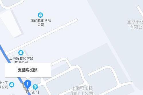 夏盛路 夏盛路