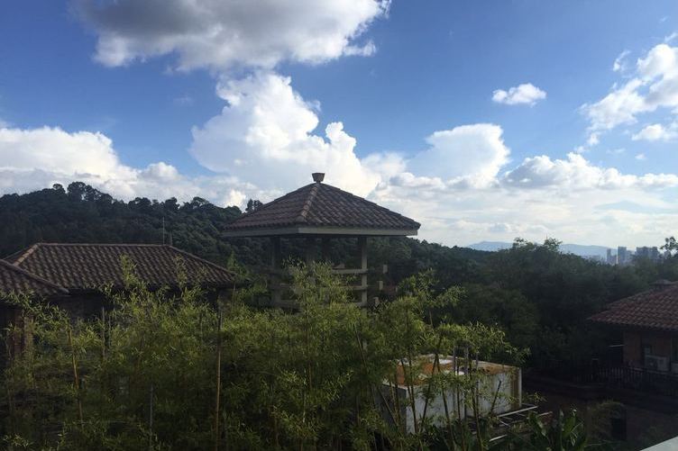 茉莉唐朝 茉莉唐朝