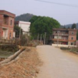 新淳村 新淳村