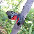 斑衣蠟蟬(樗雞) 斑衣蠟蟬(樗雞)