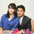 荊途(1982年香港TVB電視劇) 荊途(1982年香港TVB電視劇)