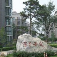雍景天城
