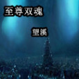 至尊雙魂 至尊雙魂