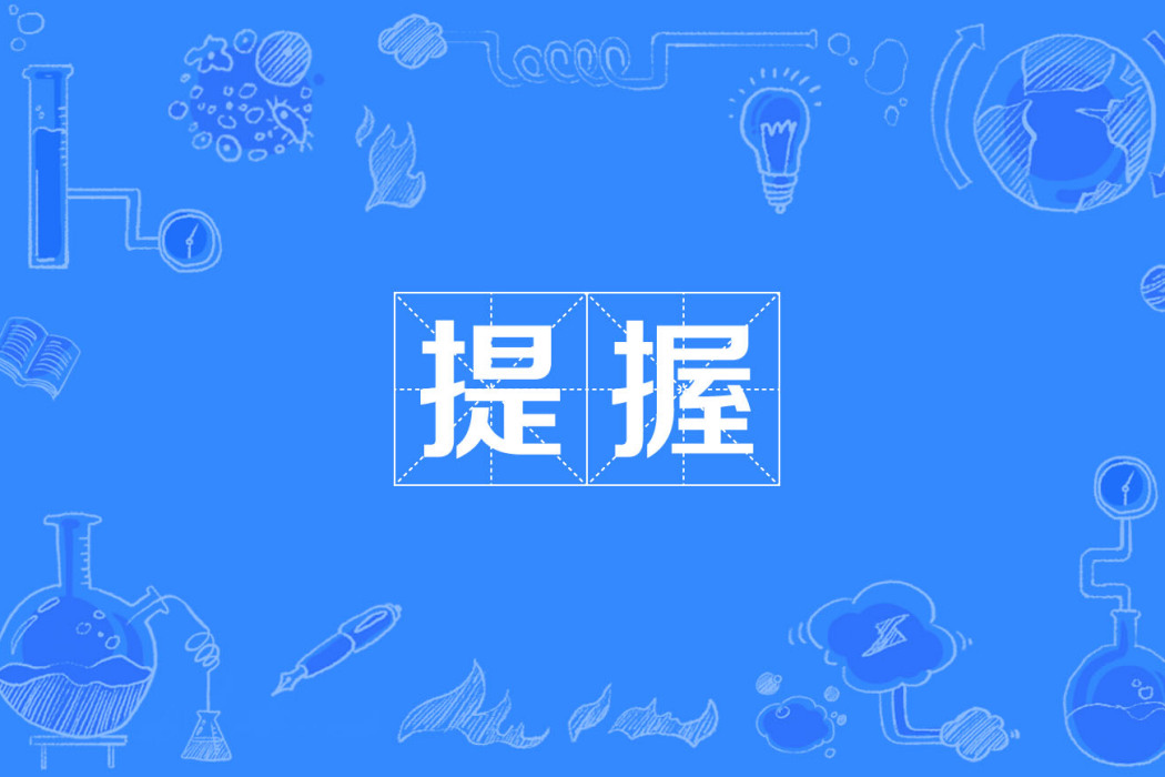 提握 提握