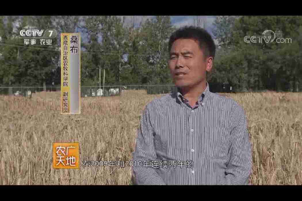 桑布(西藏自治區農牧科學院農業研究所副研究員) 桑布(西藏自治區農牧科學院農業研究所副研究員)