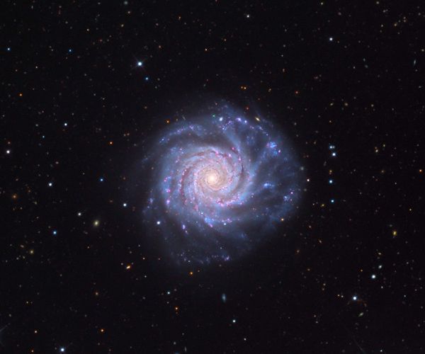 NGC 3938 NGC 3938