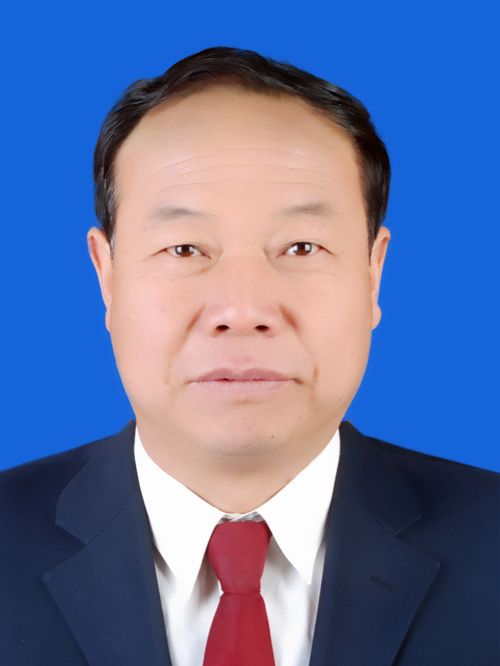 王軍軍(陝西省寶雞市太白縣交通運輸局黨委委員、副局長) 王軍軍(陝西省寶雞市太白縣交通運輸局黨委委員、副局長)