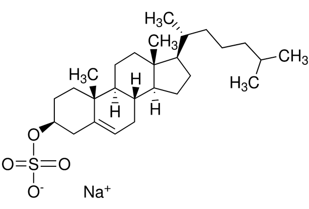膽固醇酯(膽固醇酯(chE,CE))