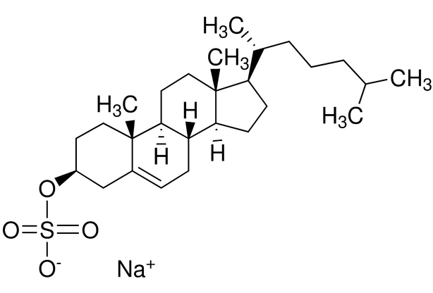 膽固醇酯(膽固醇酯(chE,CE)) 膽固醇酯(膽固醇酯(chE,CE))