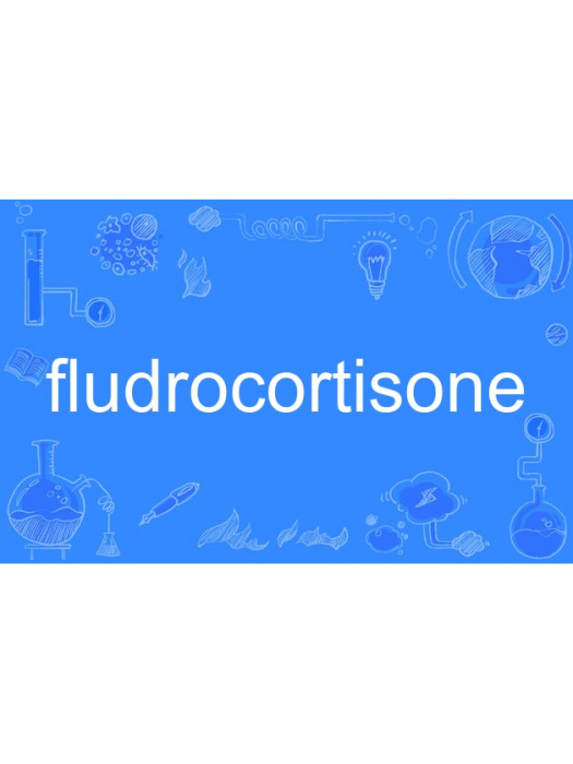 fludrocortisone fludrocortisone