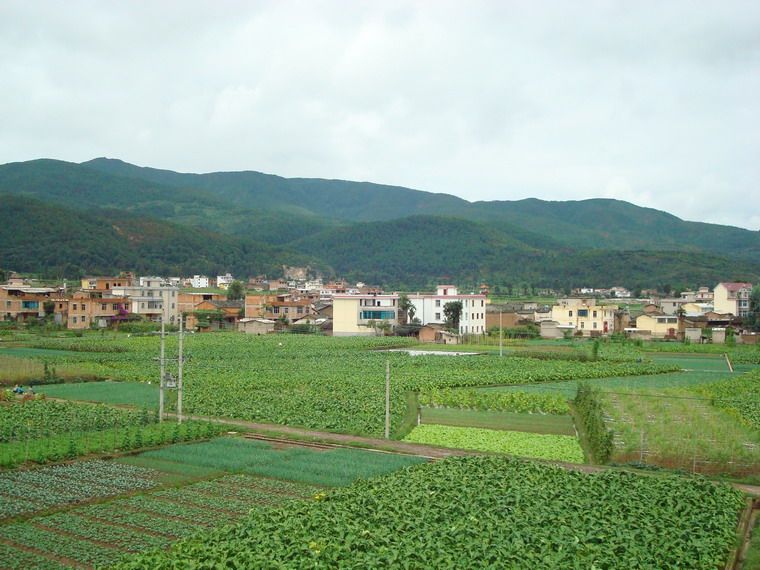 張錢村(雲南大姚縣金碧鎮下轄村) 張錢村(雲南大姚縣金碧鎮下轄村)
