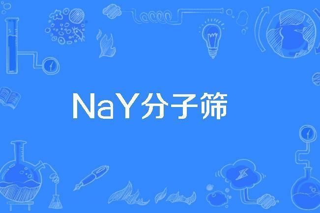 NaY分子篩 NaY分子篩