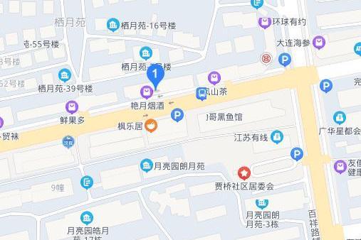 望月路(武漢市望月路) 望月路(武漢市望月路)