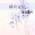 碎片記憶 碎片記憶