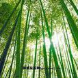 壯綠竹 壯綠竹