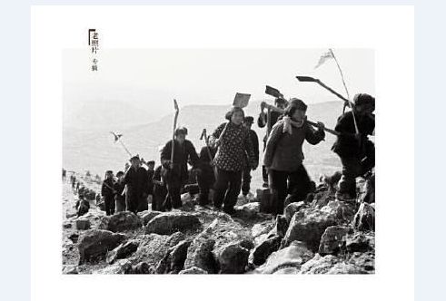生產隊(2019年山東畫報出版社出版的圖書) 生產隊(2019年山東畫報出版社出版的圖書)