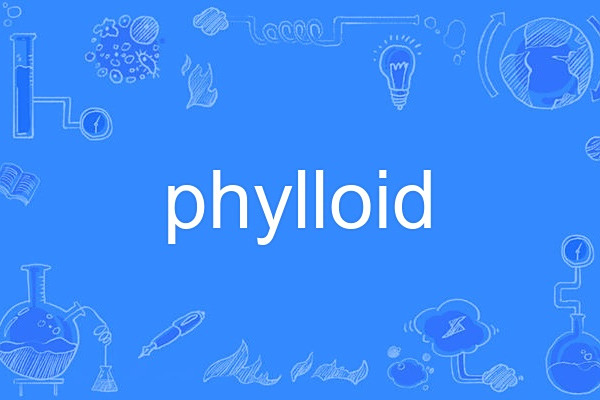 phylloid phylloid