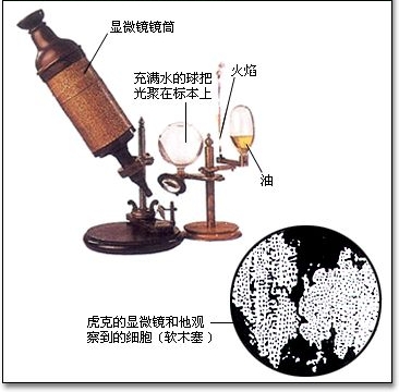 虎克時代的顯微鏡