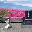 網上祭掃 網上祭掃